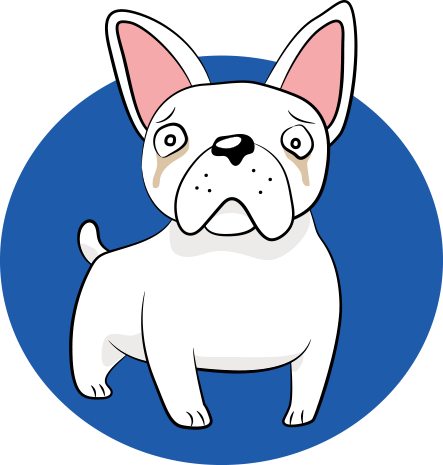 Squishface Wrinkle Paste tear stain remover for white dogs